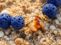 Kamykbijoux.pl – blansoletka, SUP, surf, bransoletka Kamyk Bijoux, biżuteria Kamyk Bijoux, zawieszka z żywicyhandmade